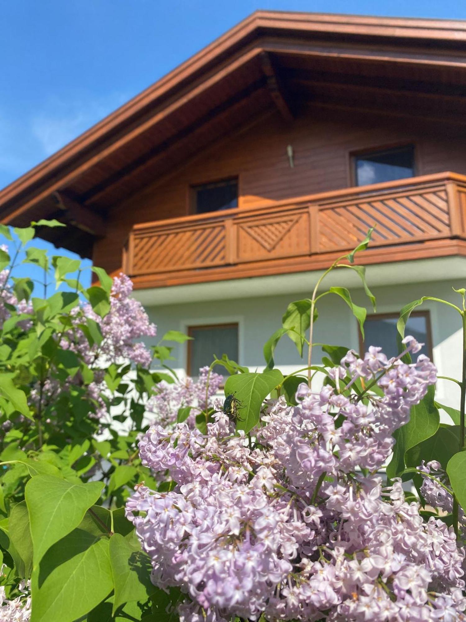 Chalet Panoramablick Zell Am See Dış mekan fotoğraf